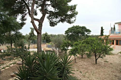 Agroturismo Agriturismo Il Mulino