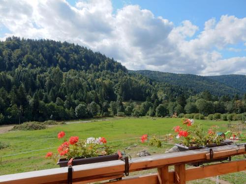 Chalet - Gerardmer