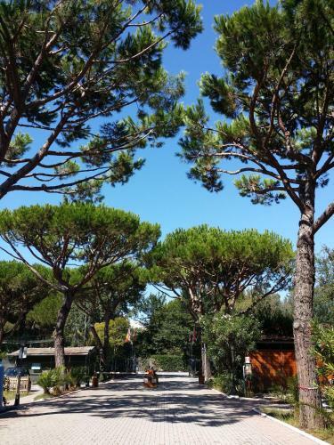 Camping Dal Pino