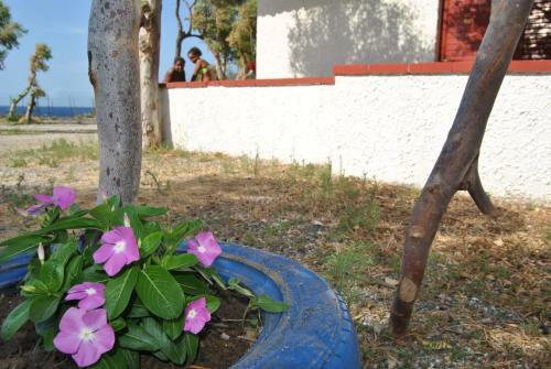 Camping B&B Gioiosa