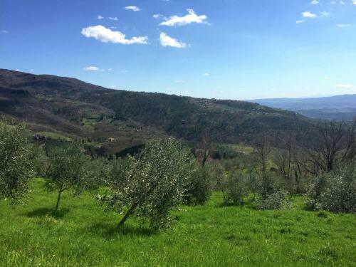 Apartamento Podere Enrica Corbezzolo