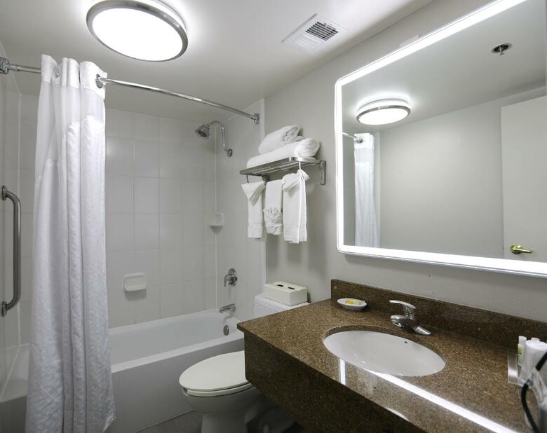 Hotel Holiday Inn Chicago O'hare Area