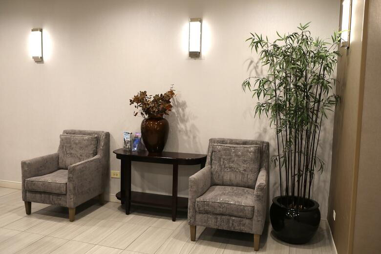Hotel Holiday Inn Chicago O'hare Area