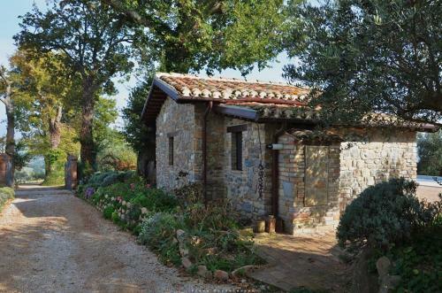 Bed & Breakfast Casale Il Cerqueto