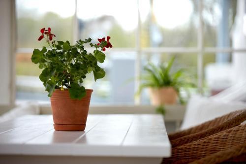 Hostal Pensionat Kajutan I Sj�torp