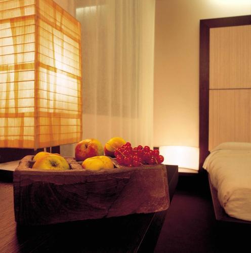 Hotel Methis