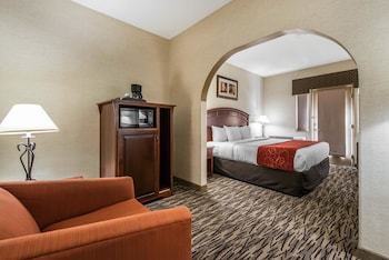 Hotel Comfort Suites Golden West On Evergreen Parkway
