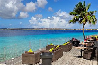 Hotel Summer Dreams Ocean Club