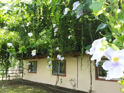 Hotel Yi-he Golden Homestay