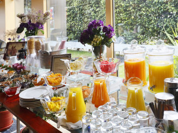 Hotel Plaza Del Bosque