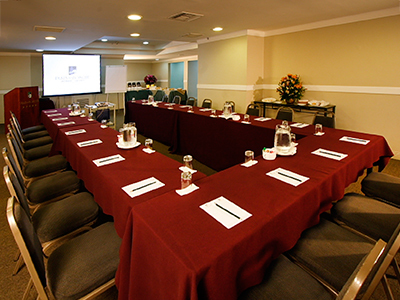 Hotel Plaza Del Bosque