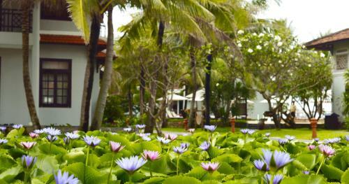 Hotel Hoi An Beach Resort