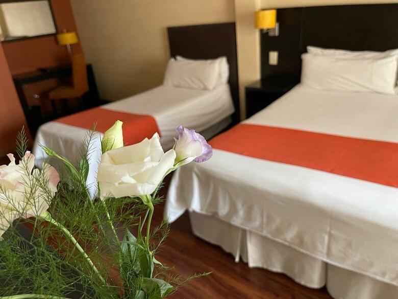 Hotel Duomi Plaza