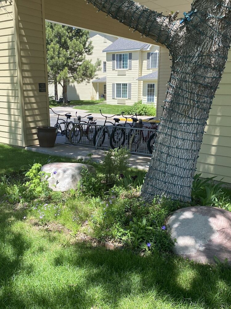 Hotel Comfort Inn & Suites