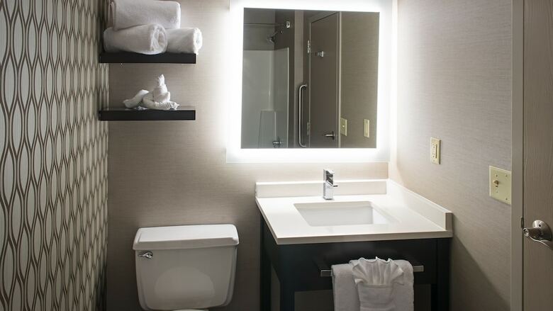 Hotel Holiday Inn St. Paul Downtown