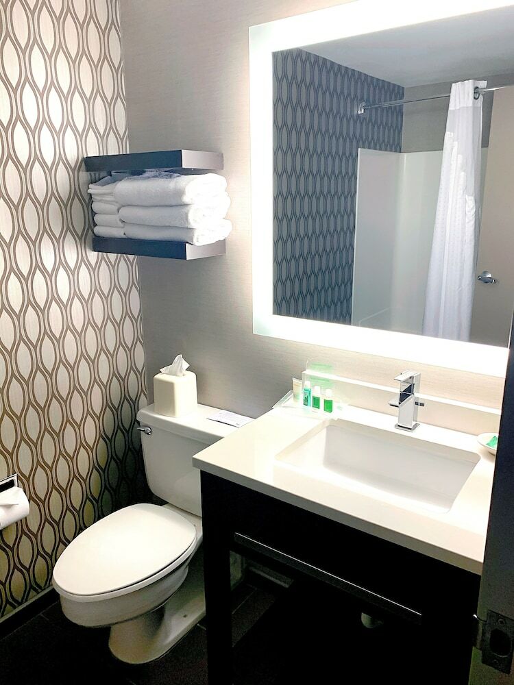 Hotel Holiday Inn St. Paul Downtown