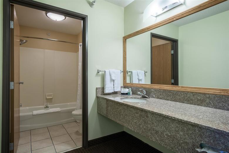 Hotel Best Western Plus Holland Inn & Suites