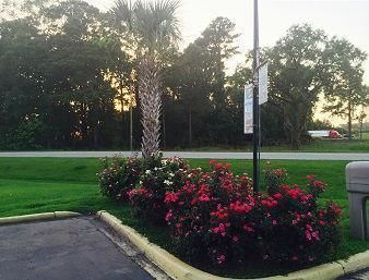 Motel Point South/yemassee Knights Inn