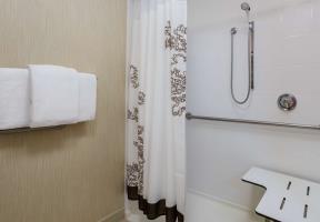 Hotel Springhill Suites Houston Downtown/convention Center
