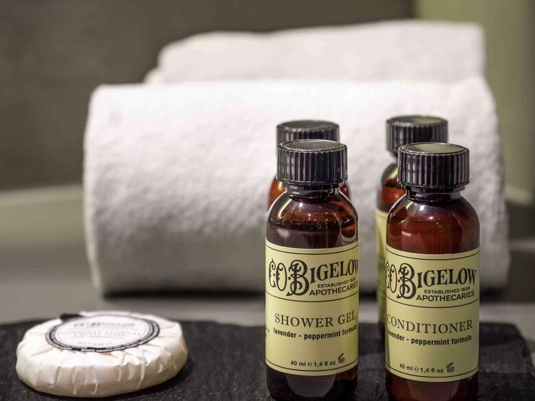 Hotel Atton El Bosque