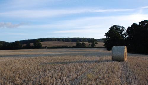 Agroturismo Huntstile Organic Farm