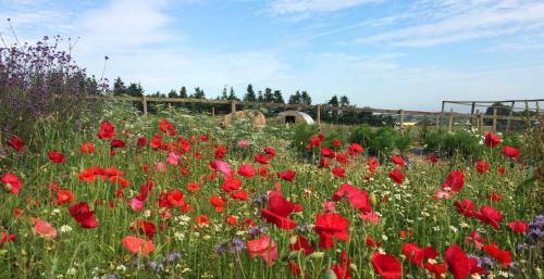 Agroturismo Huntstile Organic Farm