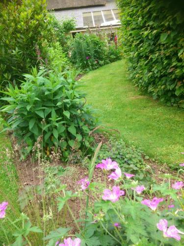 The Steppes - B&B