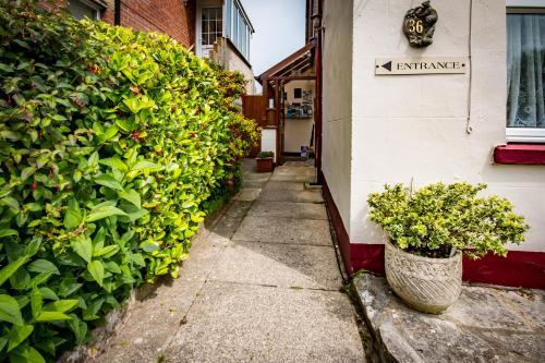 Bed & Breakfast Amberlea Guest House
