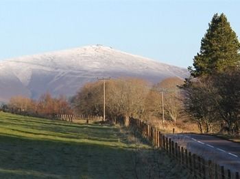 Thistle Dhu B&B