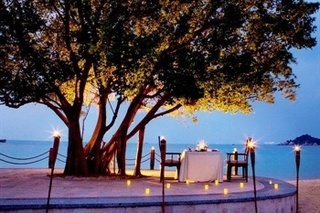 Hotel Banyan Tree