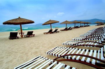Hotel Mangrove Tree Resort