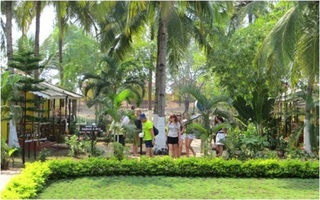 Hotel Oyo 19953 Morjim Beach Resort