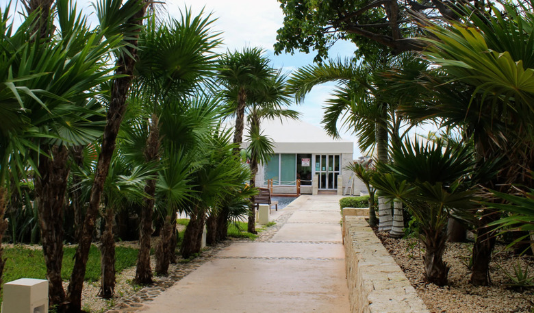 Hotel Solymar Beach & Resort