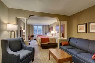 Hotel Comfort Inn & Suites-white Mountains