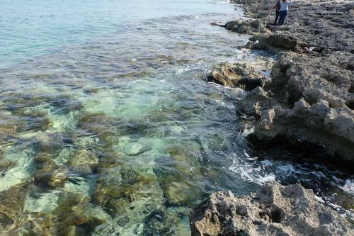 Apartamento Oasi San Pio