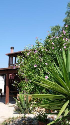 Apartamento Oasi San Pio