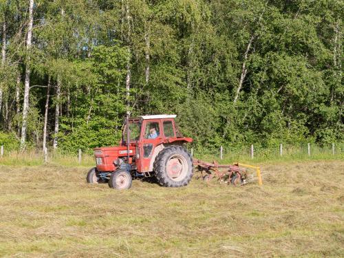 Agroturismo Lovelund Farm House