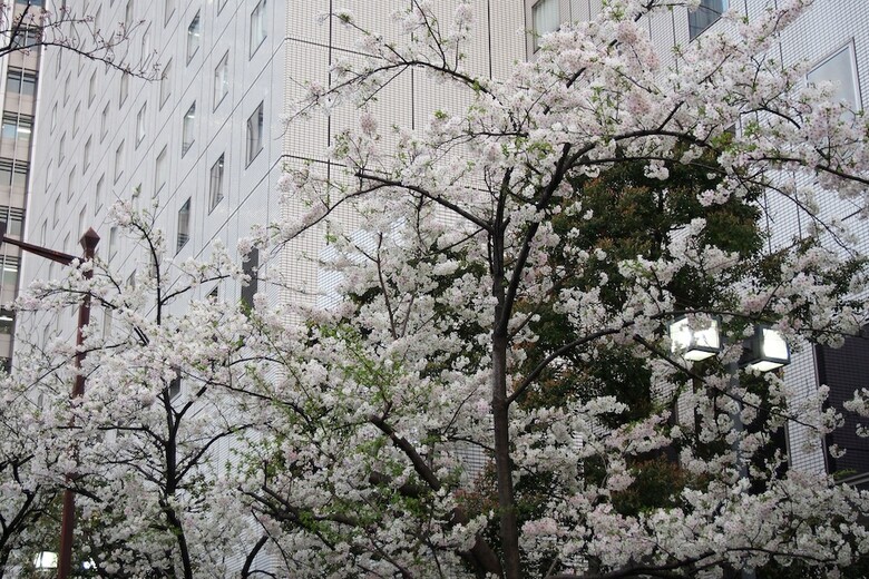 Hotel New Otani Inn Tokyo