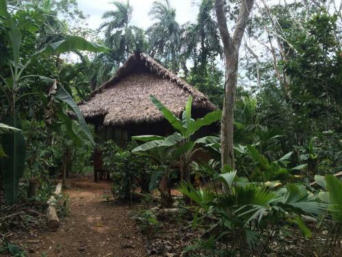 Anaconda Lodge