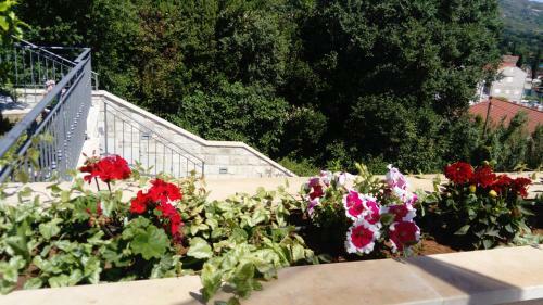 Hostal Guesthouse Zeko Rozat