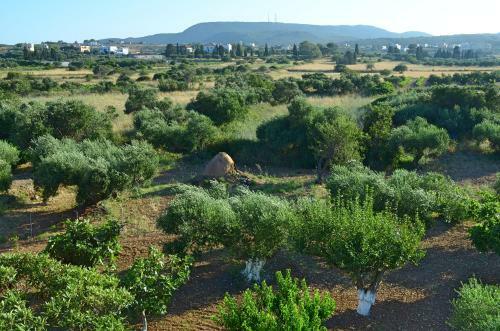 Apartamento Theofilos Appartements