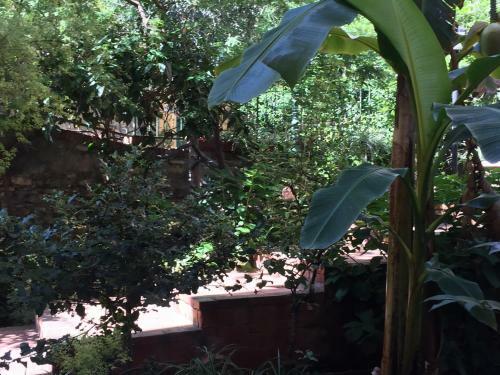 Apartamento Giardino Dei Limoni