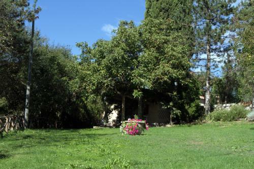 Apartamento Agriturismo Villa Mozart