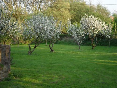 Bed & Breakfast Domaine De La Ronville