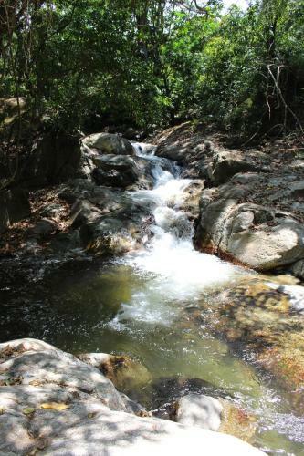 Lodge Reserva Biologica Caoba