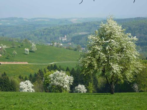 Agroturismo G�lsenhof - Fam. B�chinger