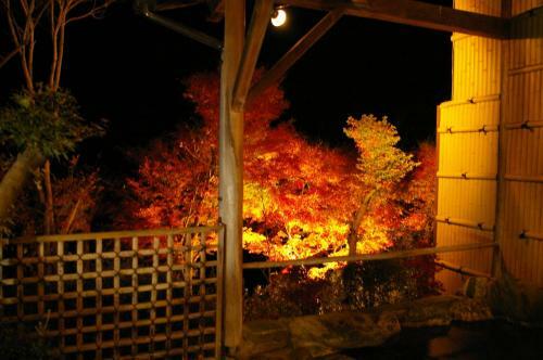 Sawatari Onsen Miyataya Ryokan