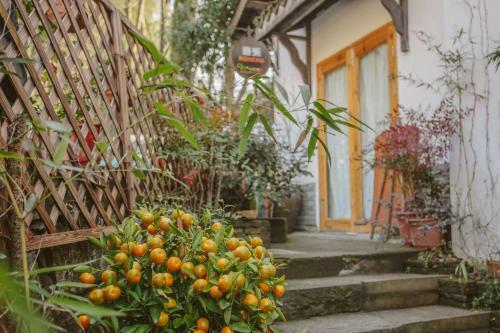 Hangzhou Luchai Inn Cartoon House