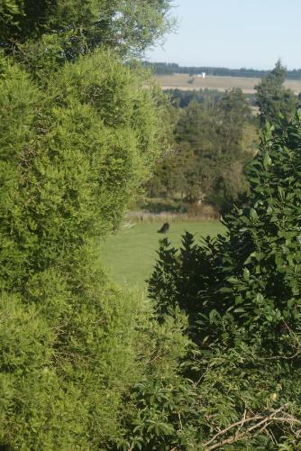 Agroturismo Peel Forest Farmstay