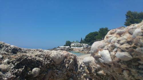 Hostal Vila Nino